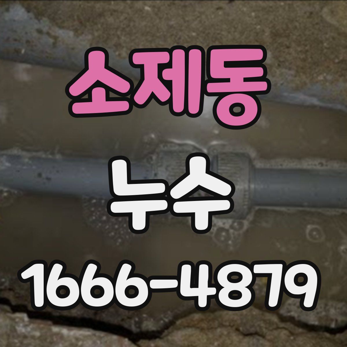 소제동 누수
