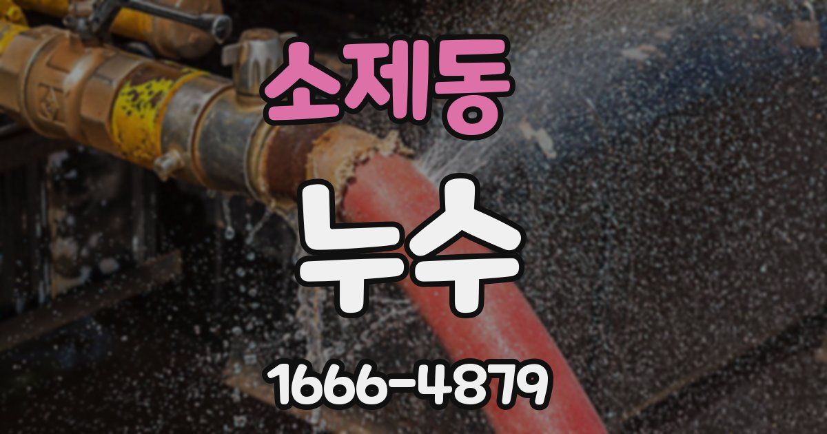 소제동 누수