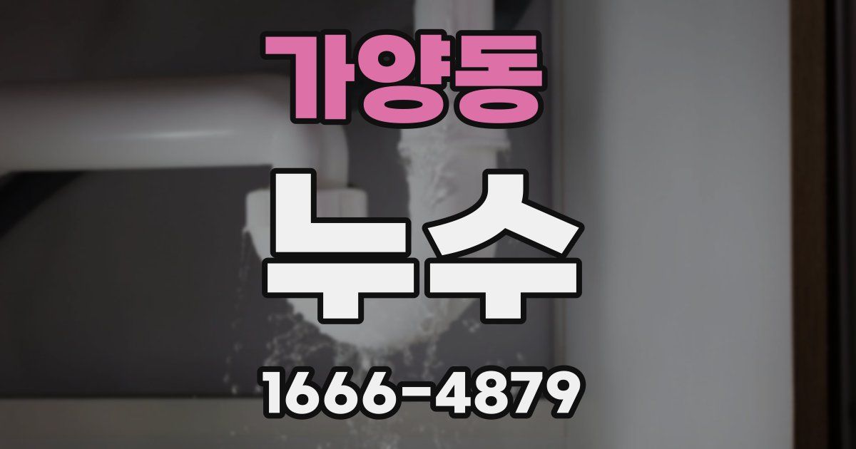 가양동 누수