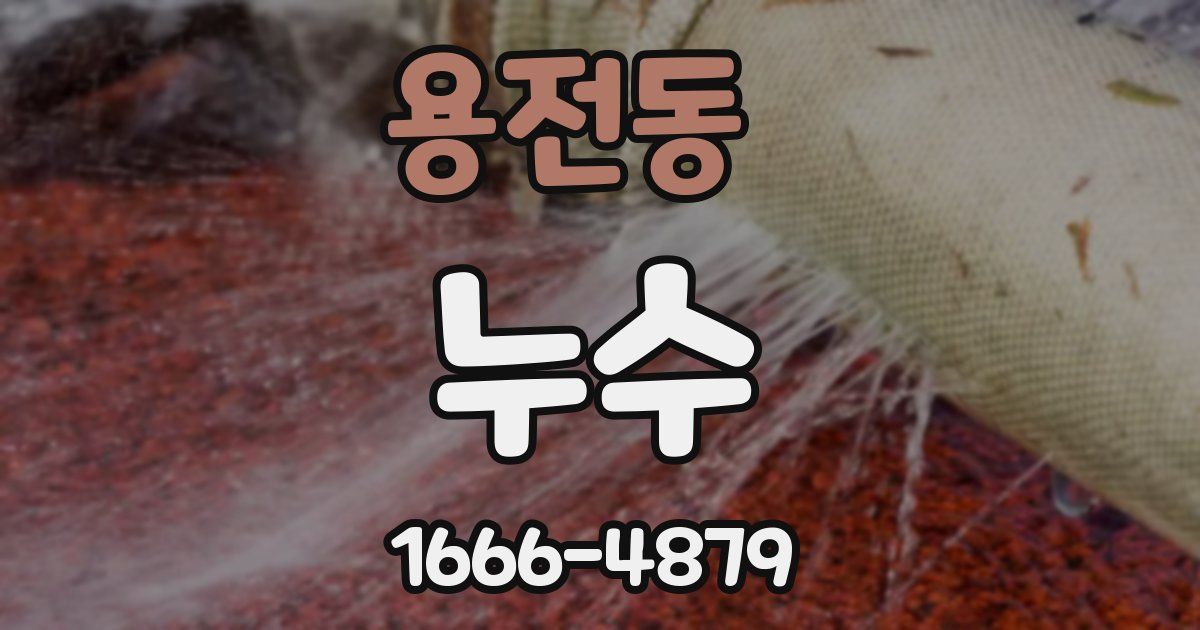 용전동 누수