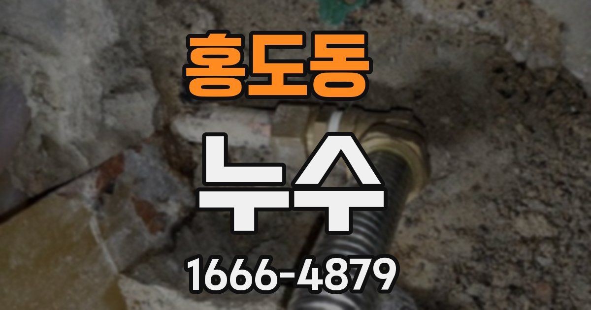 홍도동 누수