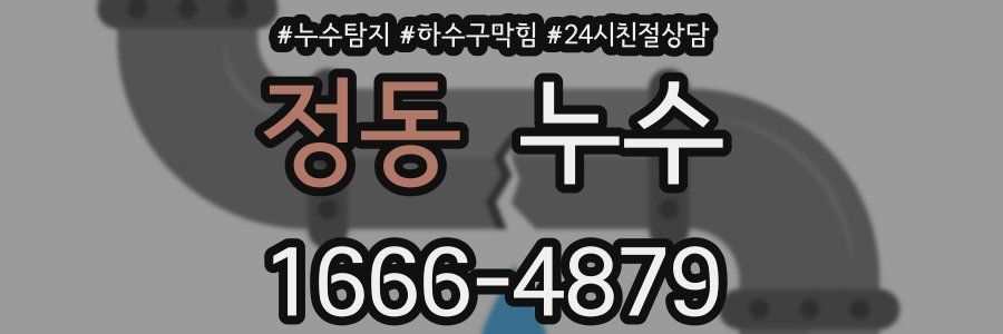 정동 누수