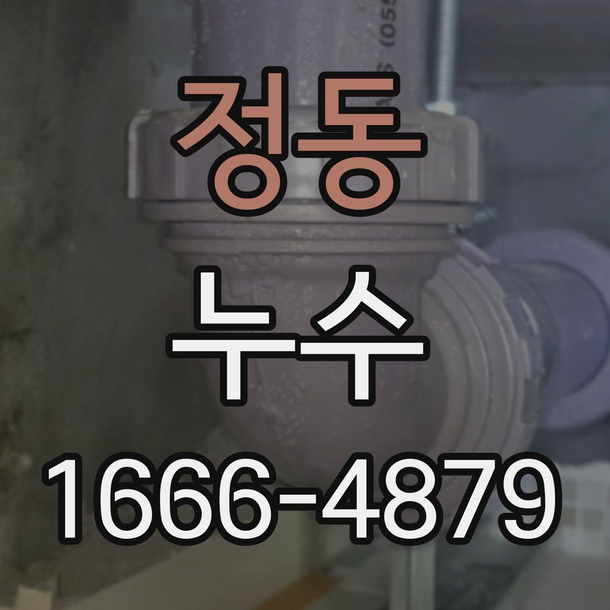정동 누수
