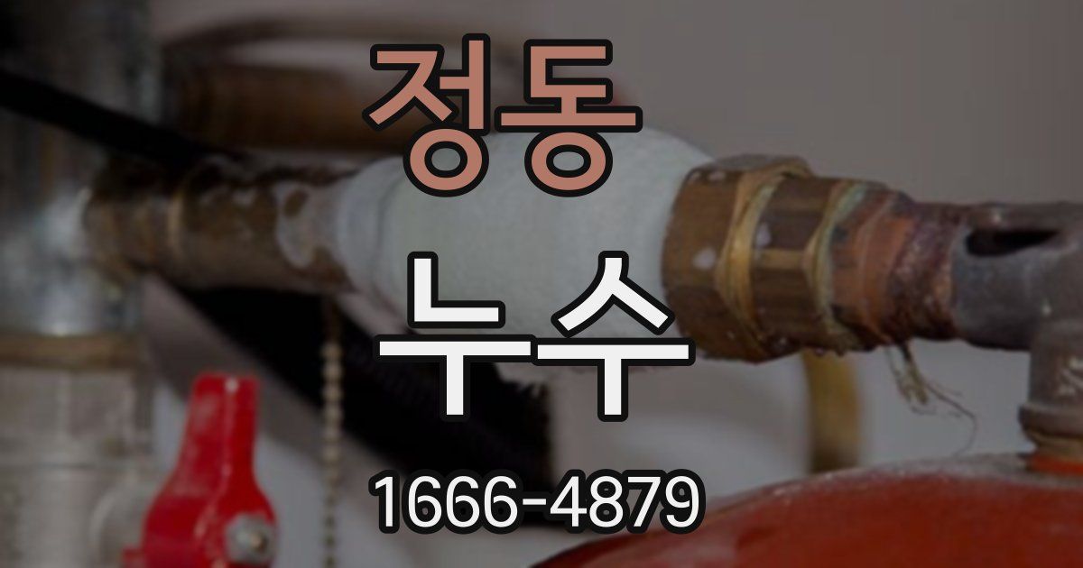 정동 누수
