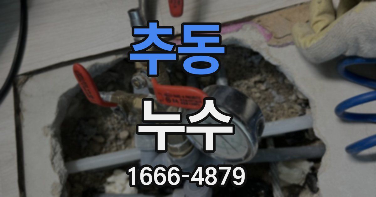 추동 누수