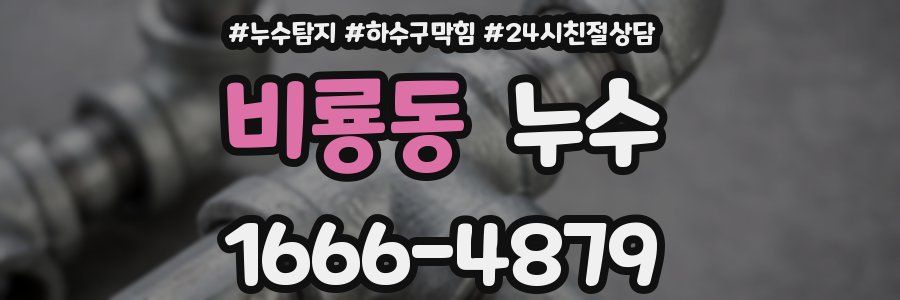 비룡동 누수