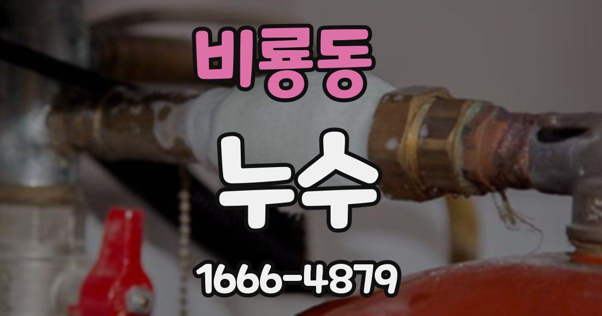 비룡동 누수