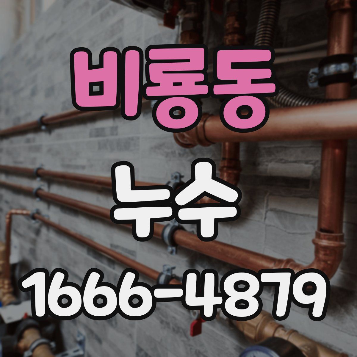 비룡동 누수