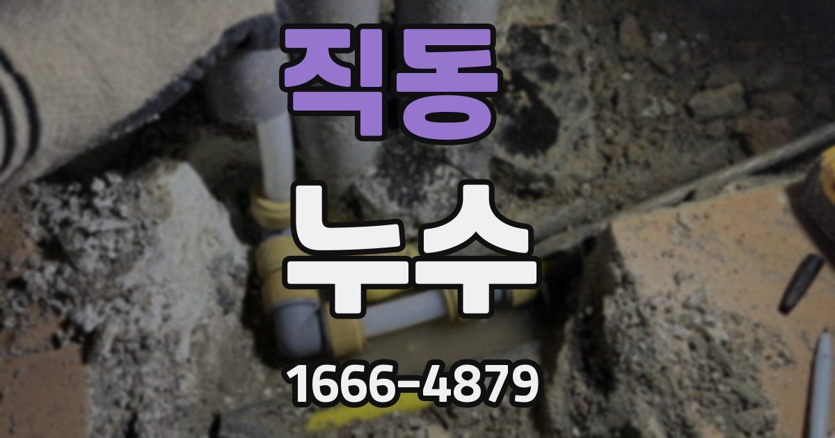 직동 누수