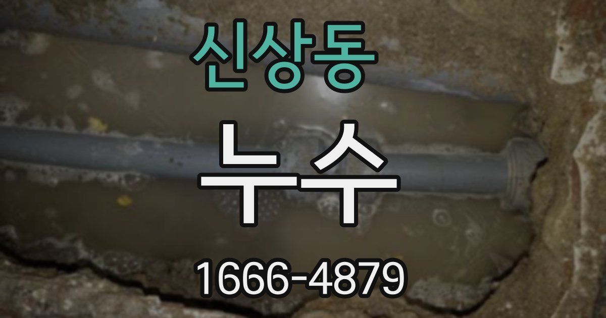 신상동 누수