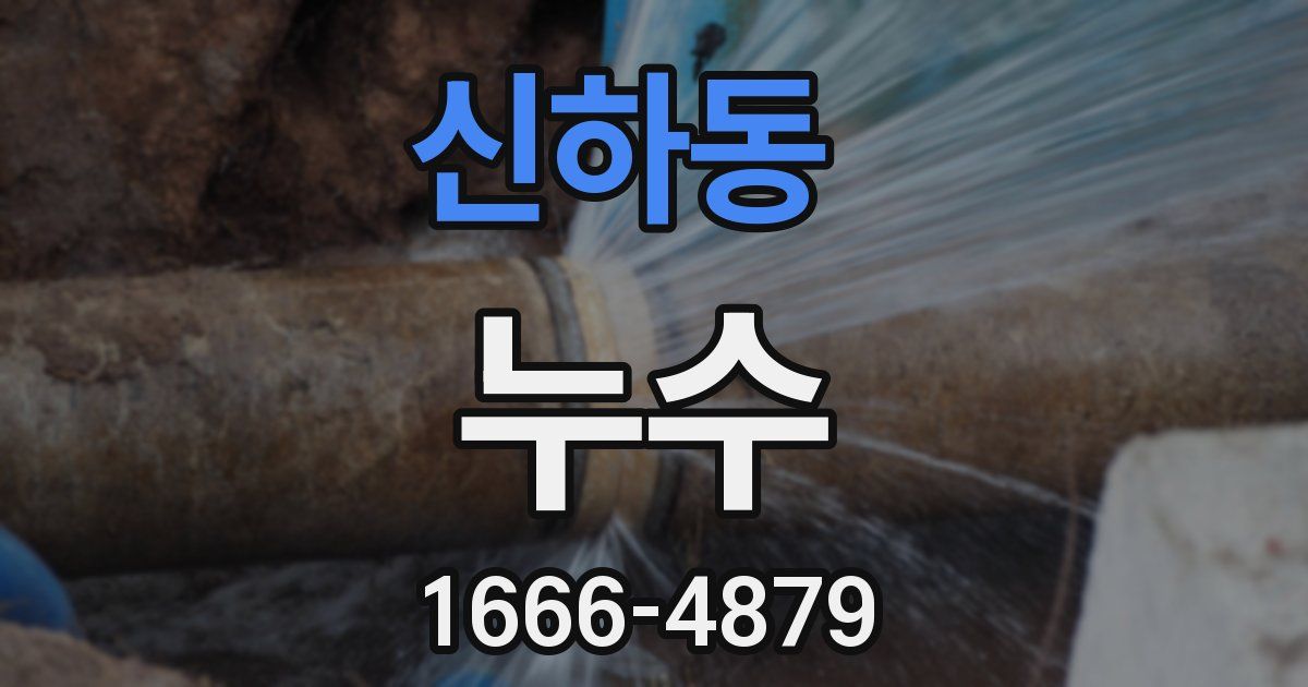 신하동 누수