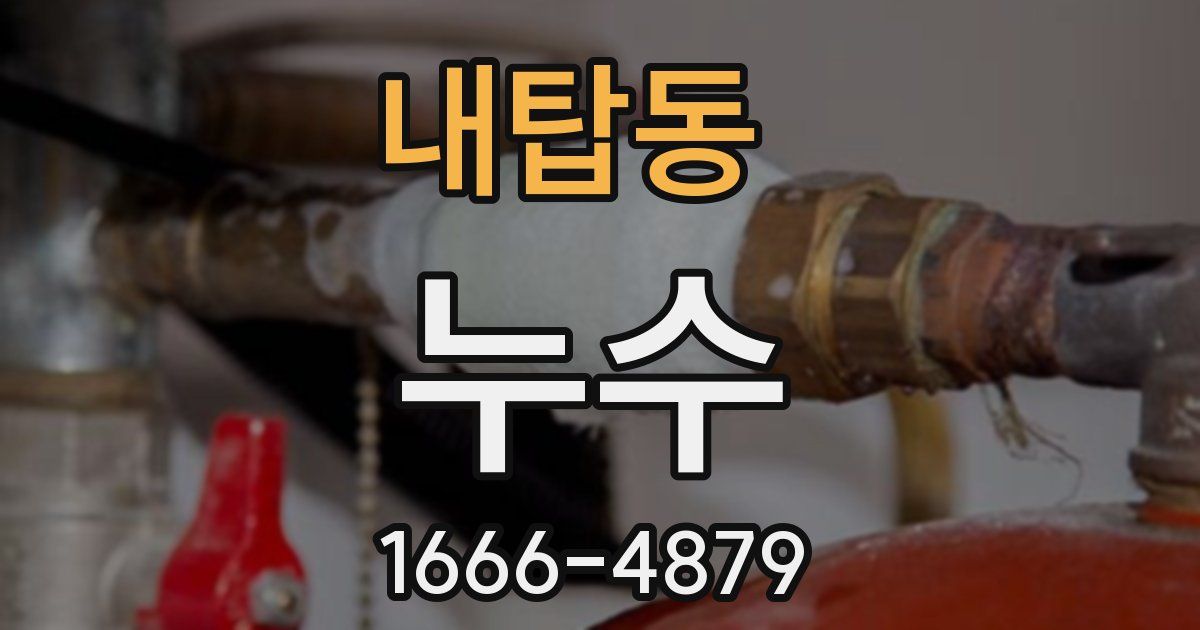 내탑동 누수