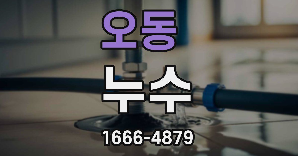 오동 누수
