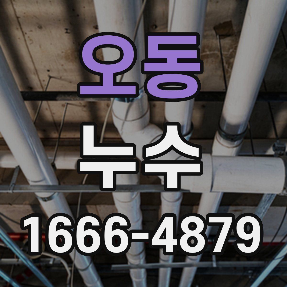 오동 누수