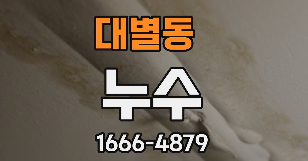 대별동 누수