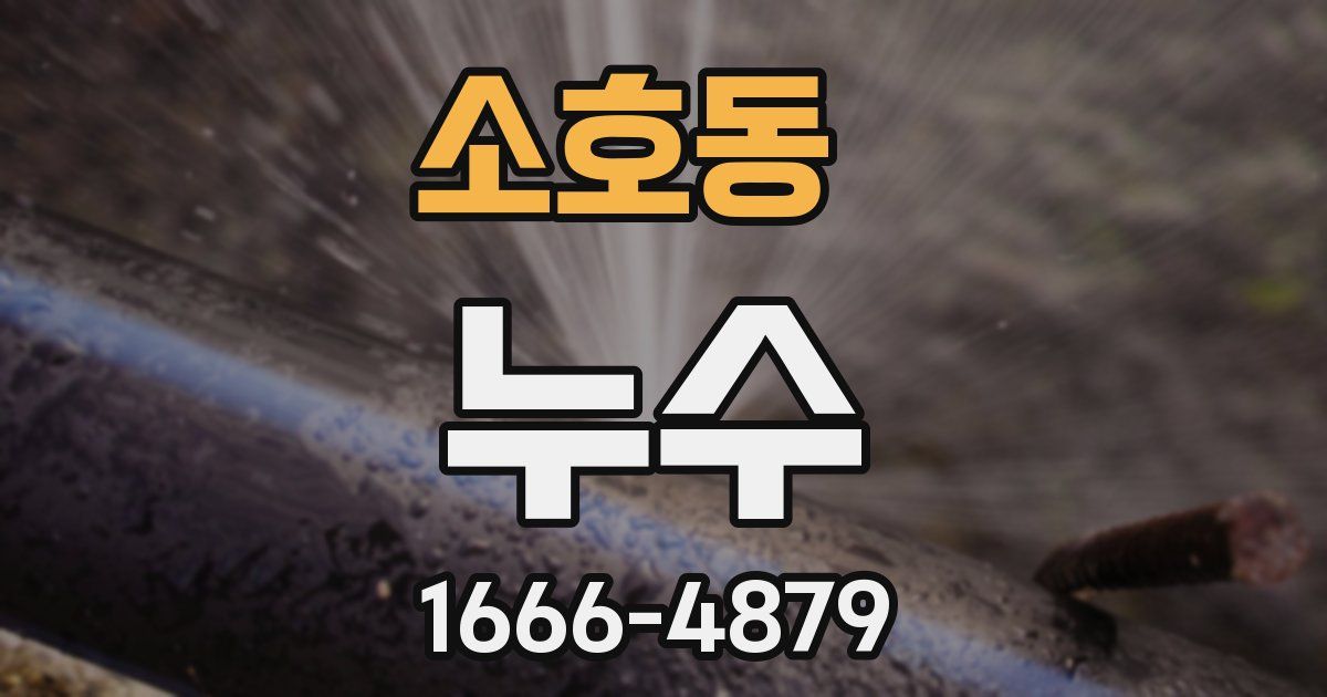 소호동 누수