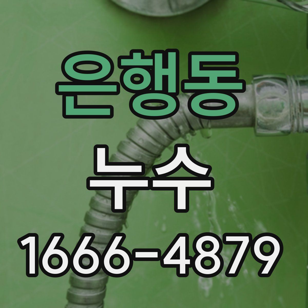 은행동 누수