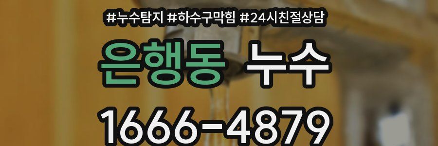 은행동 누수