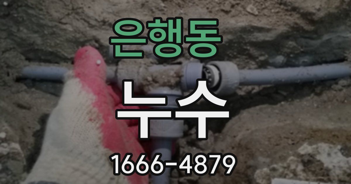 은행동 누수
