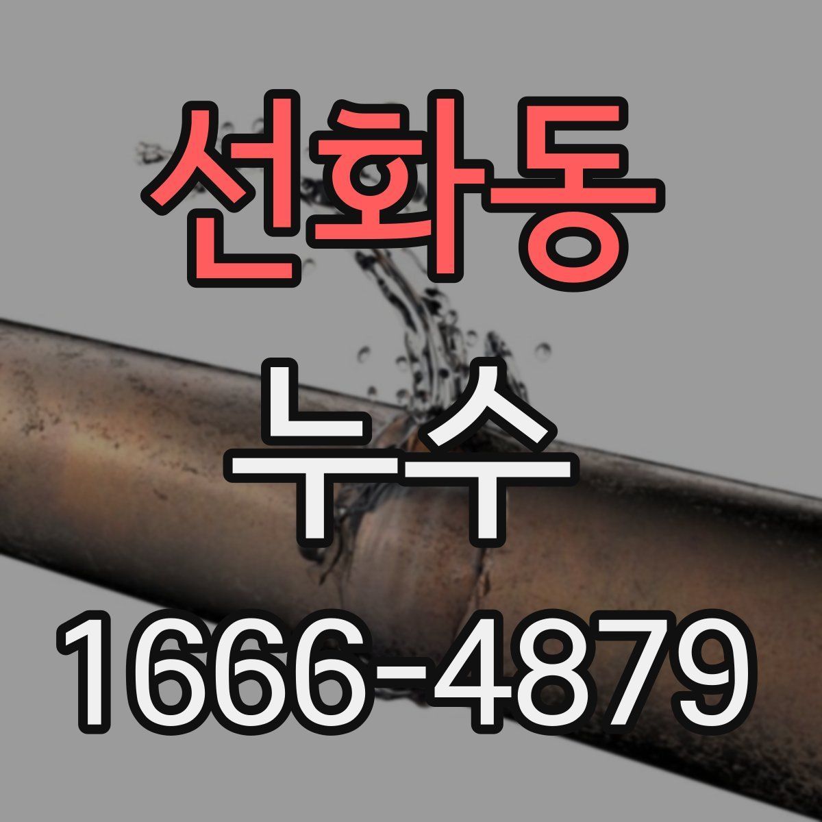 선화동 누수