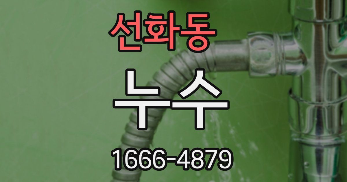 선화동 누수