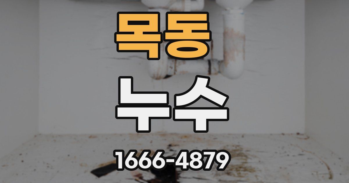 목동 누수
