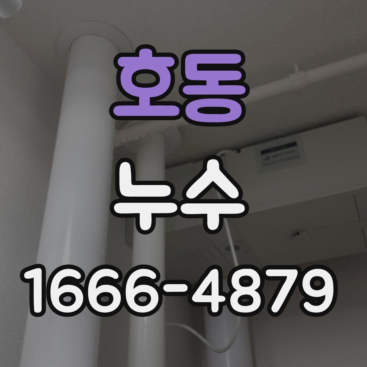호동 누수