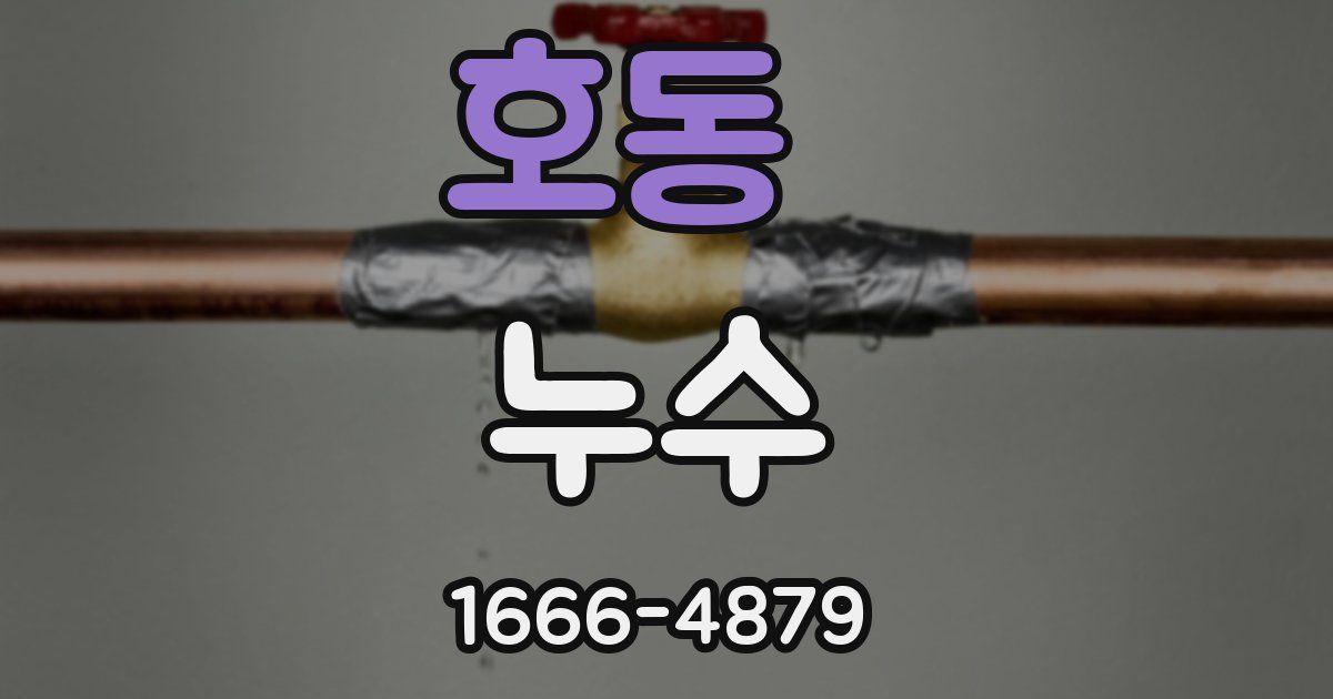 호동 누수
