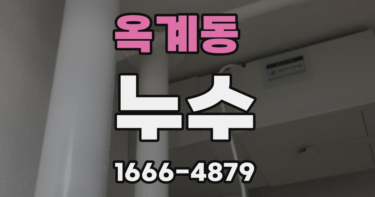 옥계동 누수