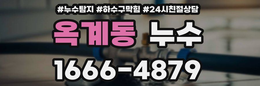 옥계동 누수