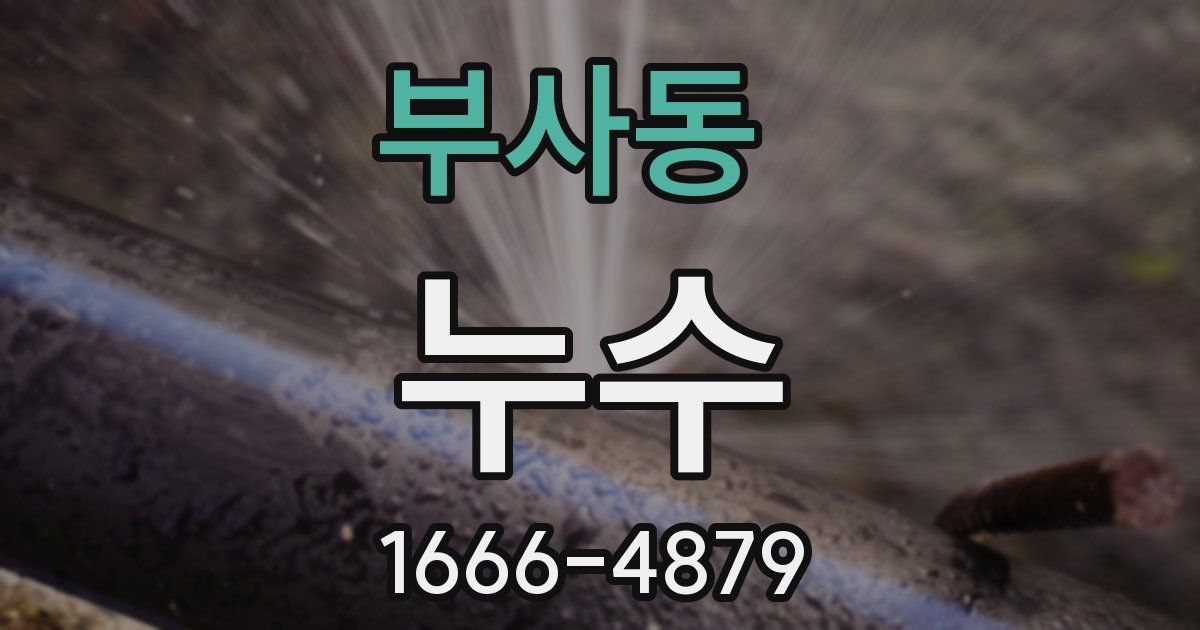 부사동 누수