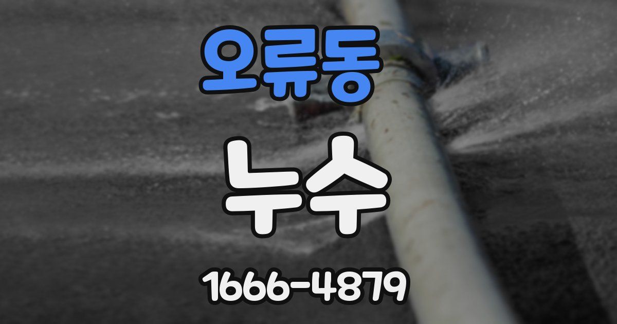오류동 누수