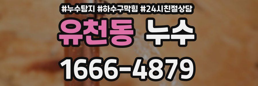 유천동 누수