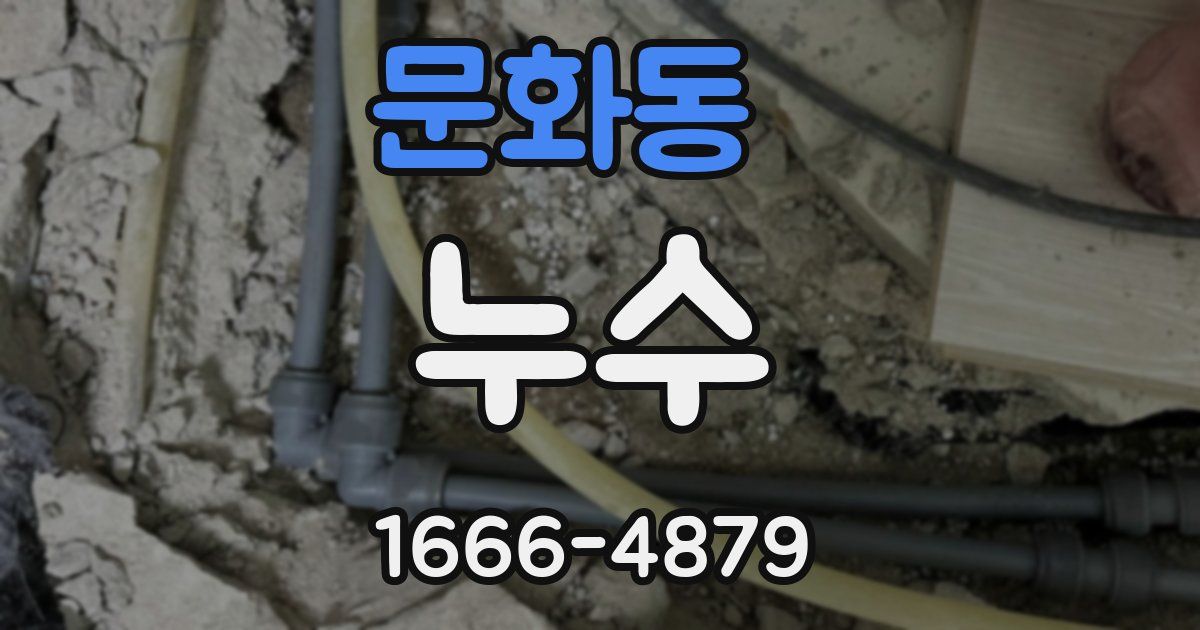 문화동 누수