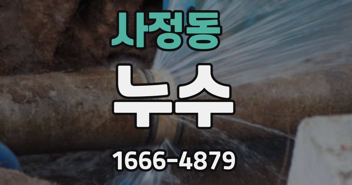 사정동 누수