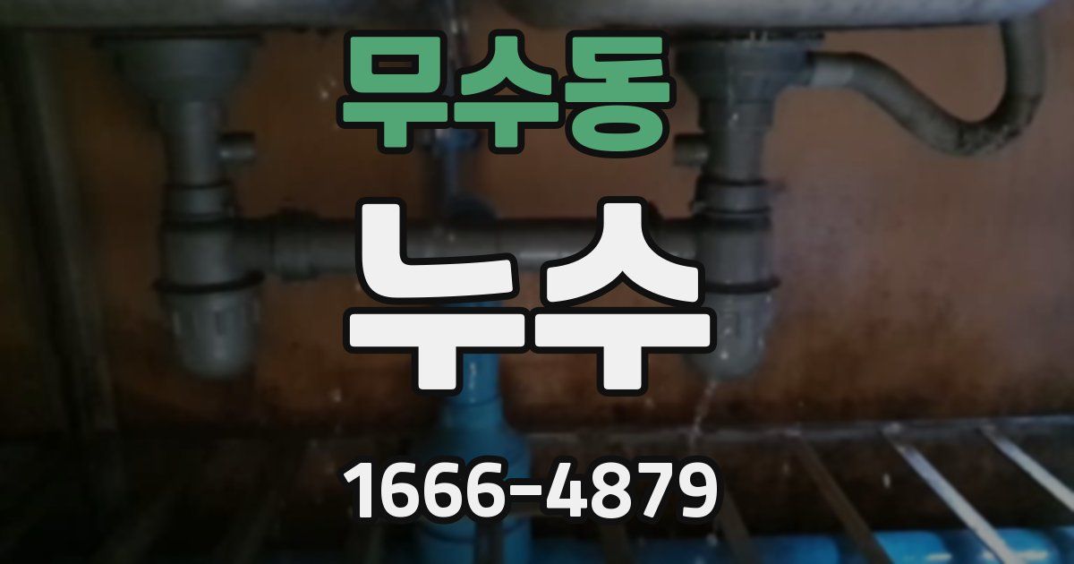 무수동 누수