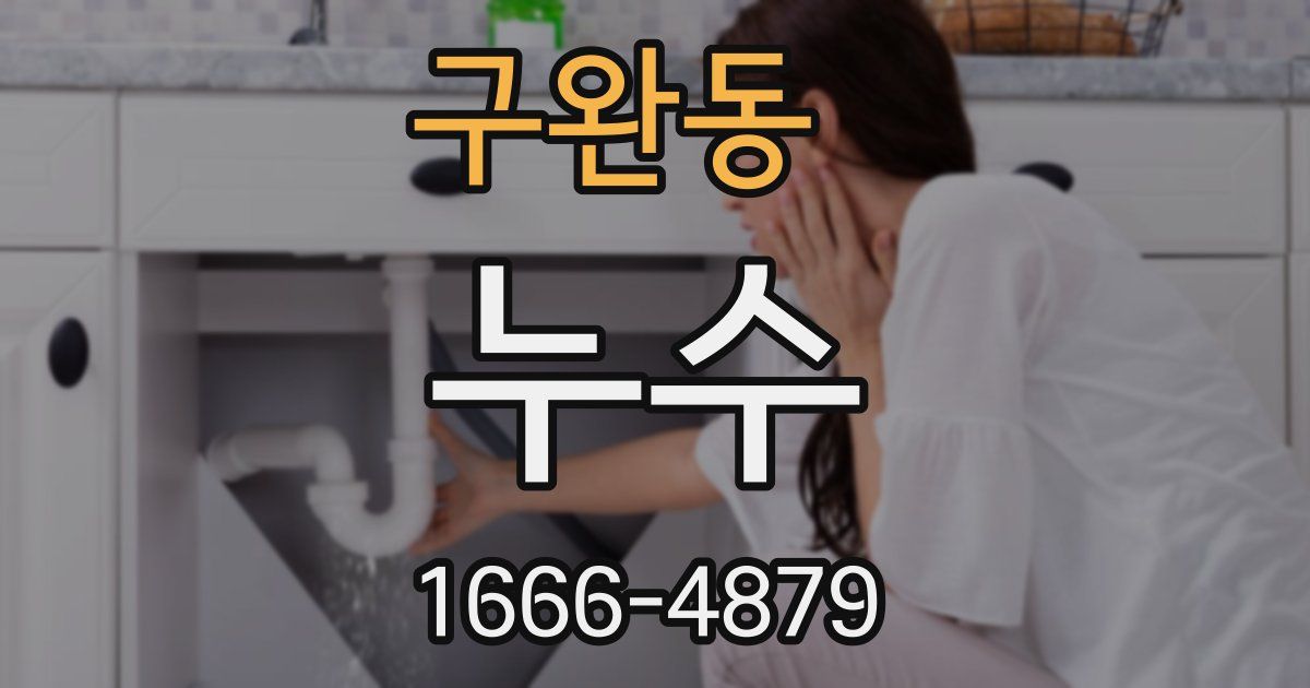 구완동 누수
