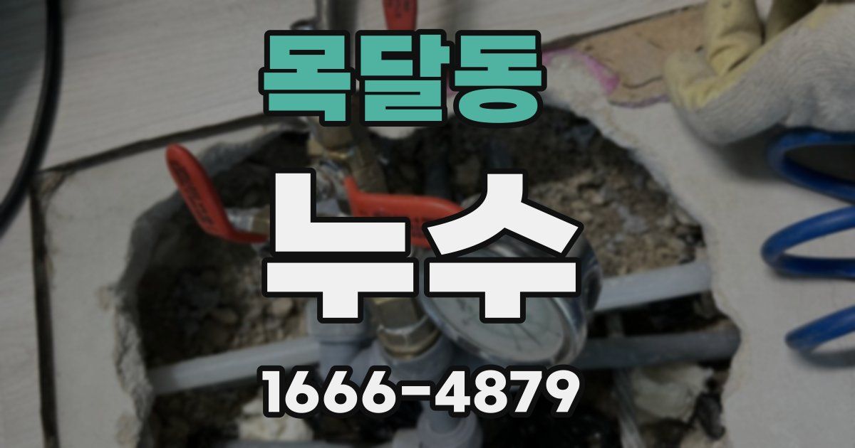 목달동 누수