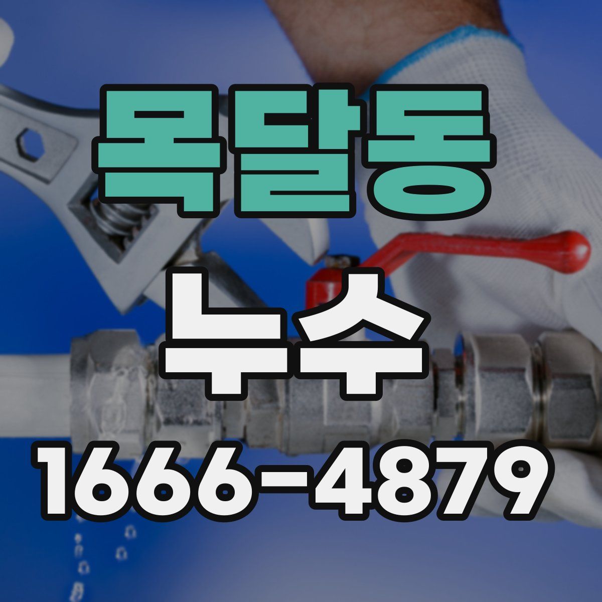 목달동 누수
