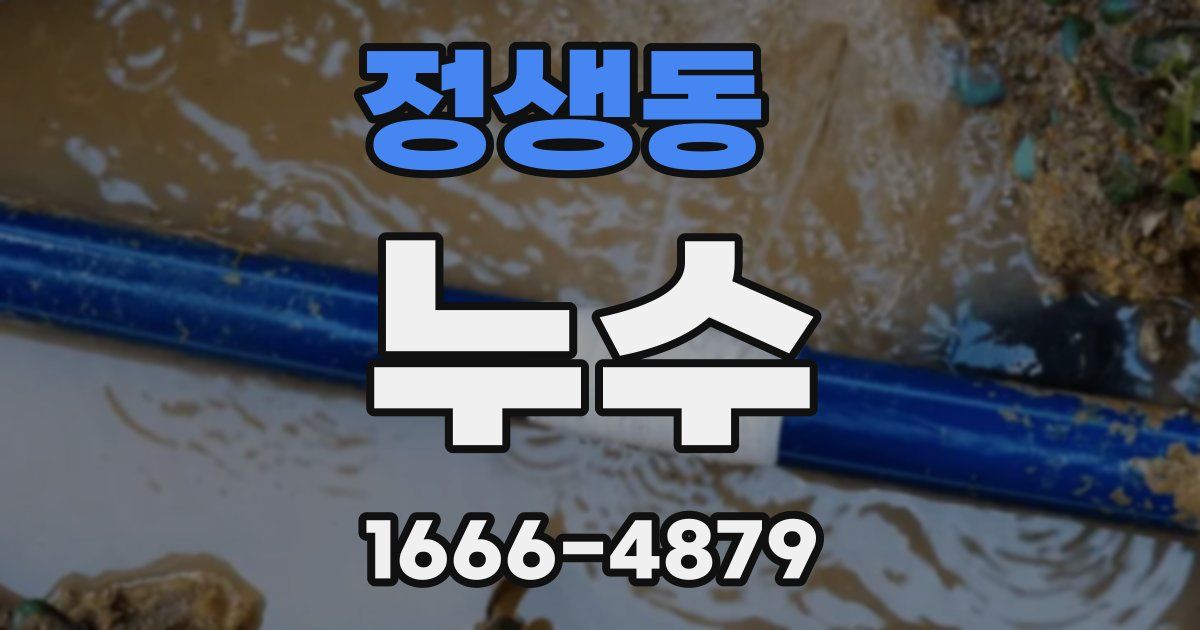 정생동 누수