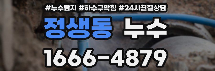 정생동 누수