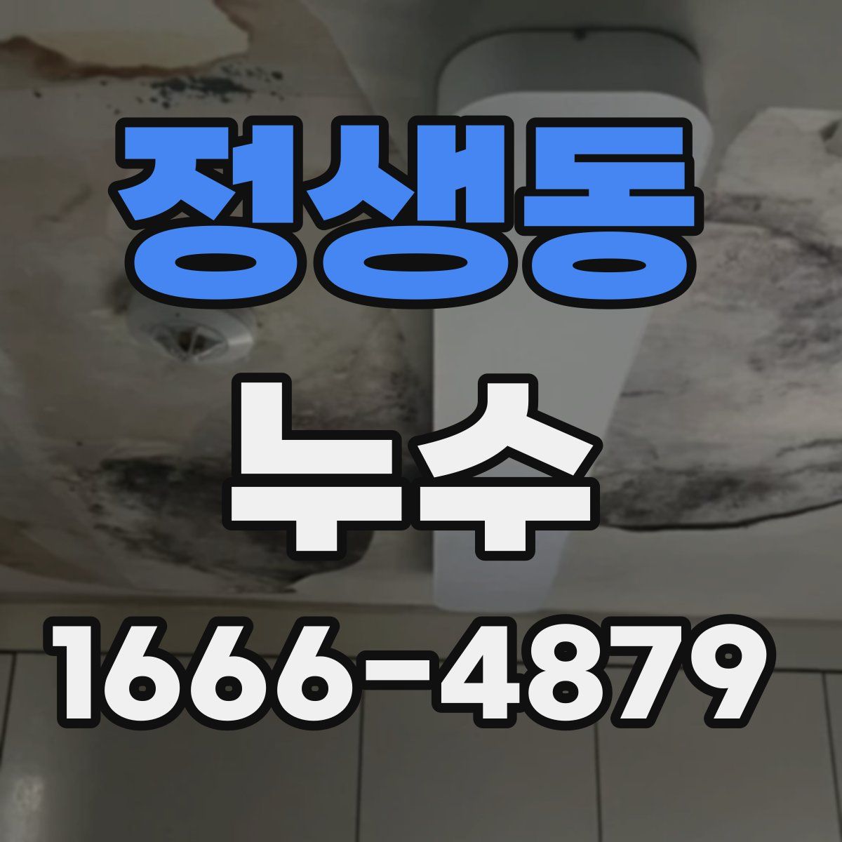 정생동 누수