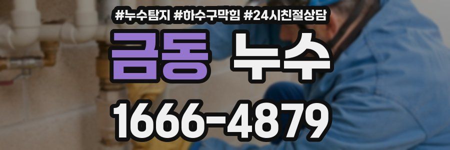 금동 누수