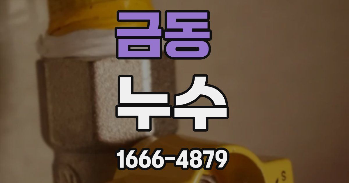 금동 누수