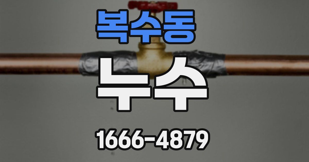 복수동 누수