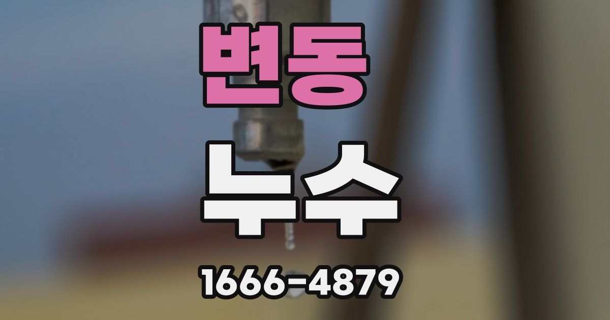 변동 누수