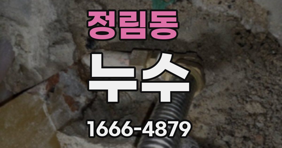 정림동 누수