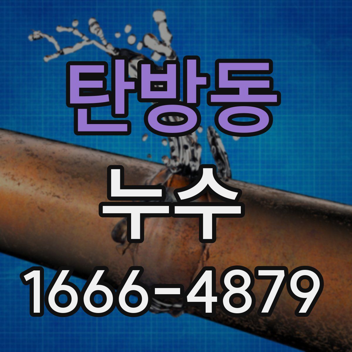 탄방동 누수