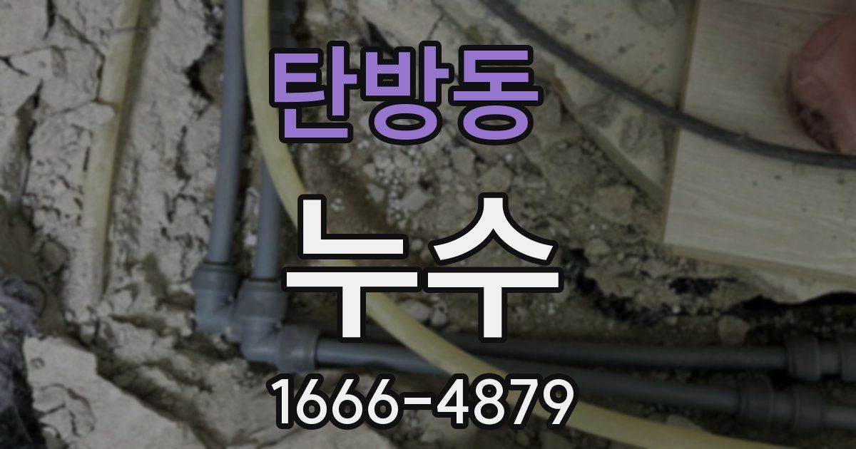 탄방동 누수