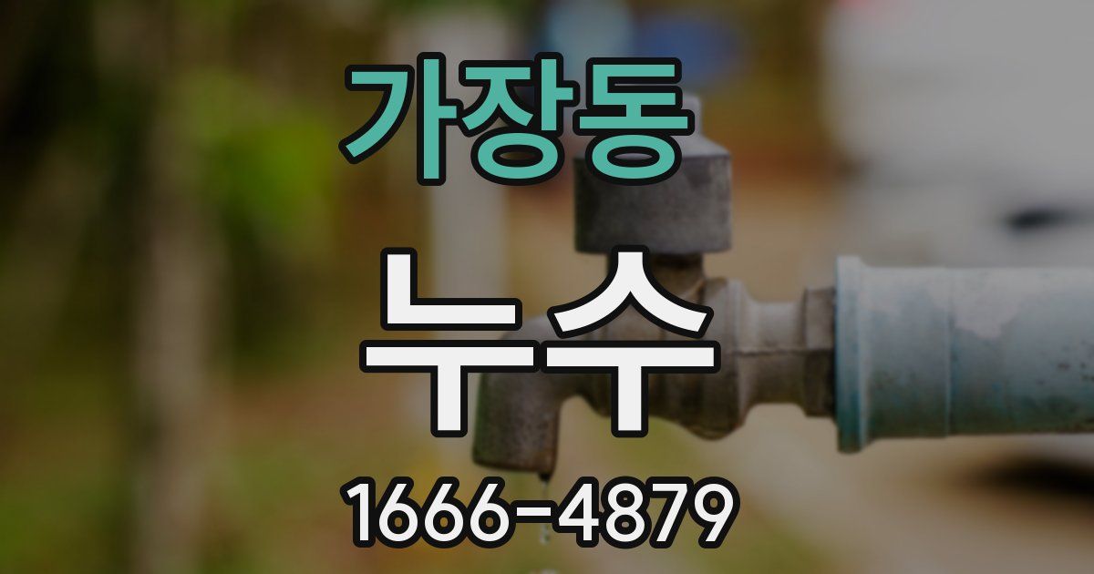 가장동 누수
